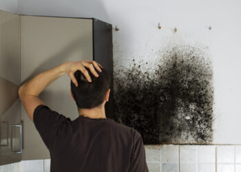 How Can You Repair Smoke-Damaged Walls?