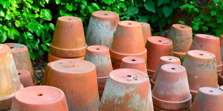 Soil To Soul: The Essence Of Plant Containers
